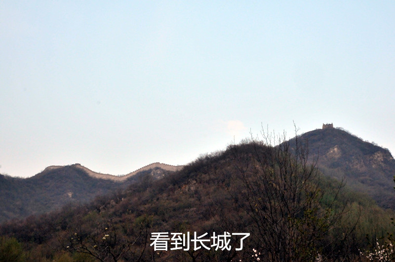 dsc_9909_����.jpg
