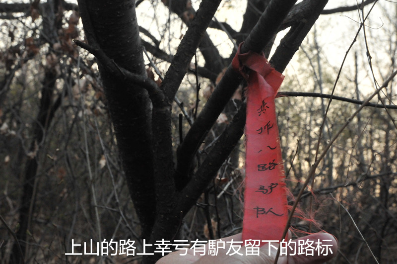 dsc_9910_����.jpg