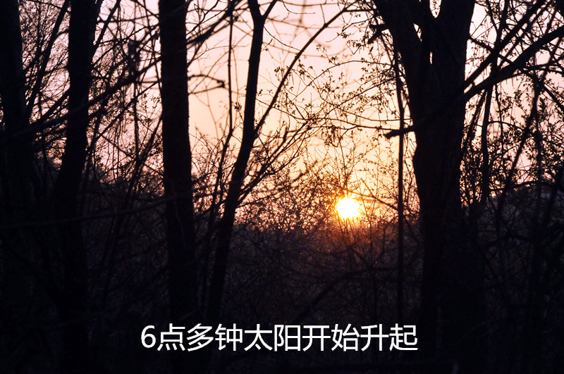 dsc_9913_����.jpg