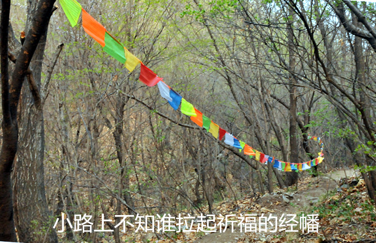 dsc_9915_����.jpg