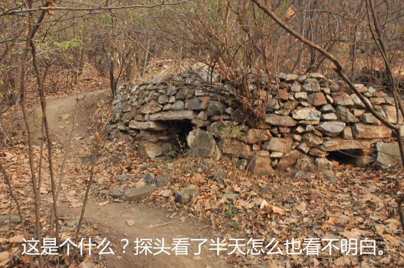 dsc_9917_����.jpg