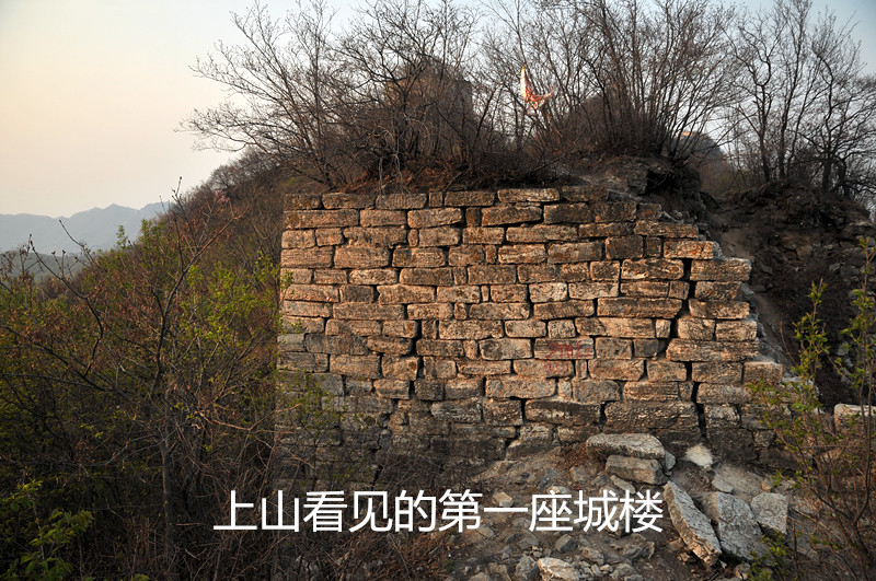 dsc_9919_����.jpg