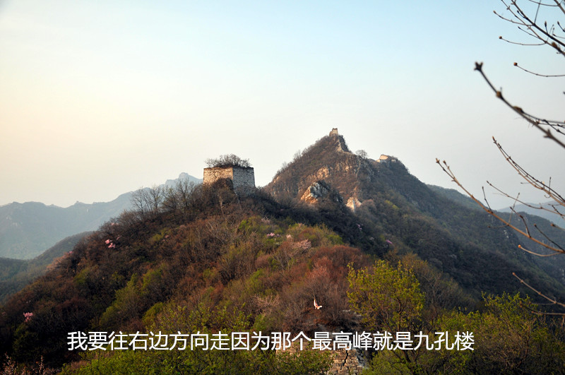 dsc_9920_����.jpg