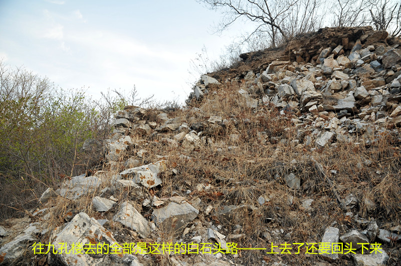 dsc_9923_����.jpg