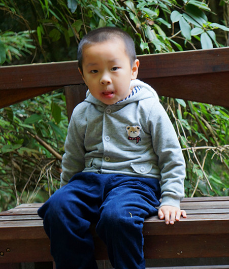 dsc01403_����.jpg