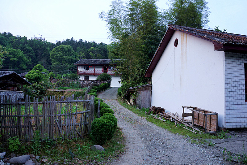 dsc01488_����.jpg