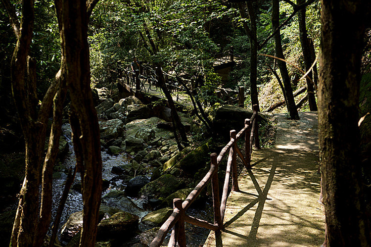dsc01441_����_����.jpg