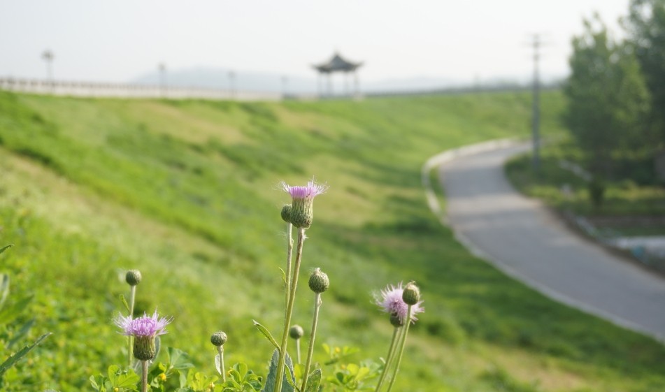 qqͼƬ20140507005547.jpg