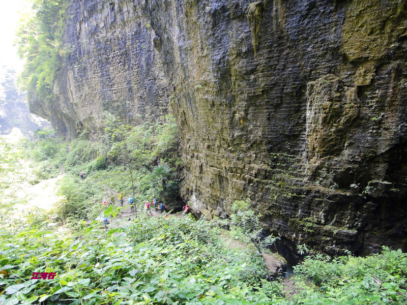 dsc02111.jpg