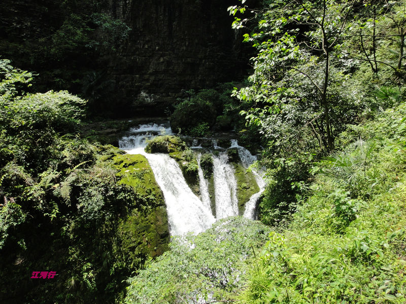 dsc02113.jpg