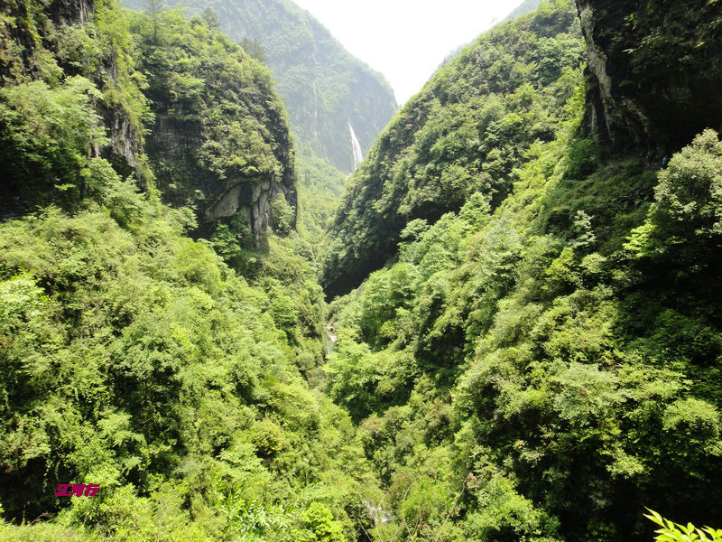 dsc02114.jpg