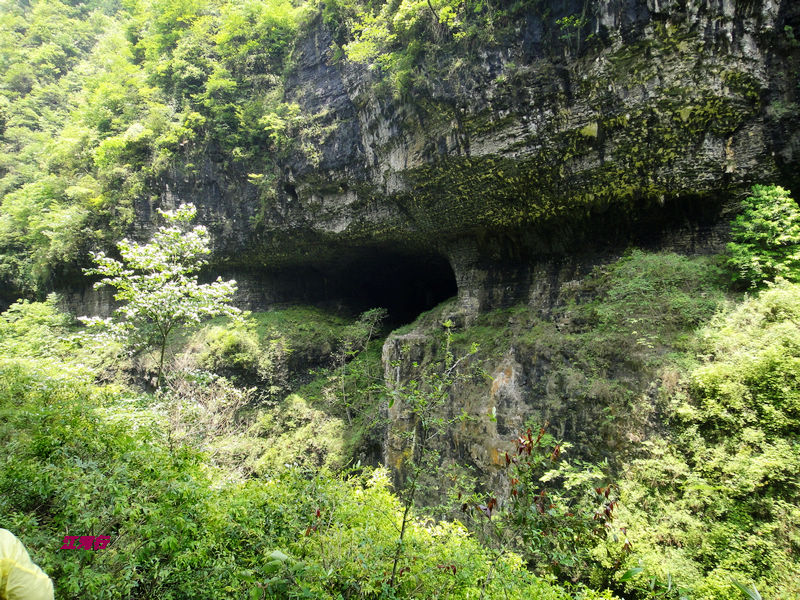 dsc02116.jpg