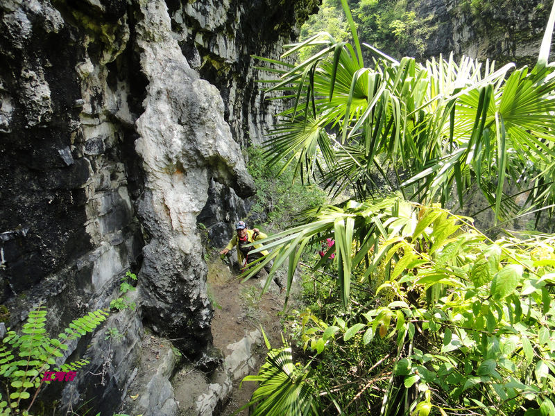 dsc02115.jpg