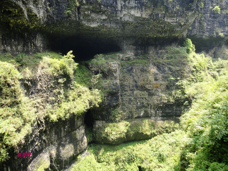 dsc02117.jpg