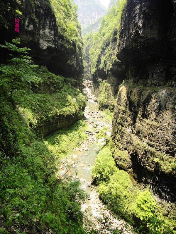 dsc02120.jpg