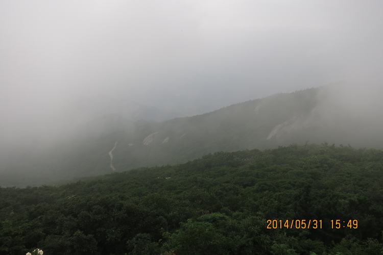 img_3206.jpg