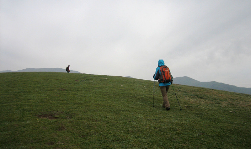 img_8357_3.jpg
