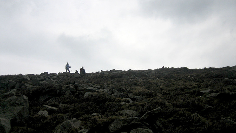 img_8610_3.jpg