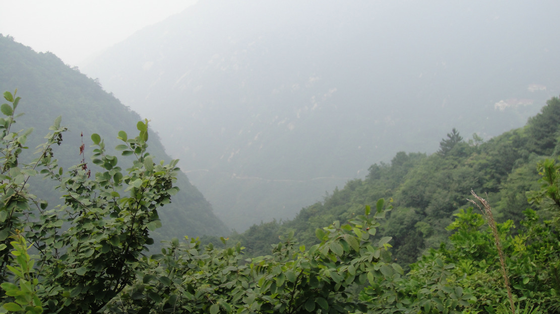 dsc07106.jpg