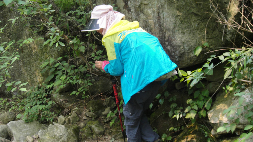 dsc07139.jpg