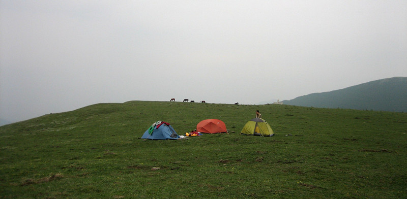 img_8774_3.jpg