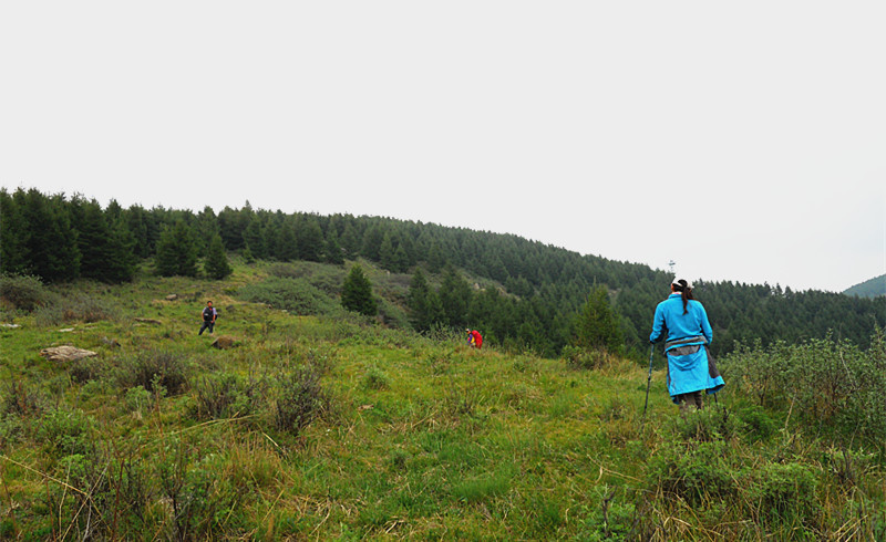 dscn0945_1.jpg