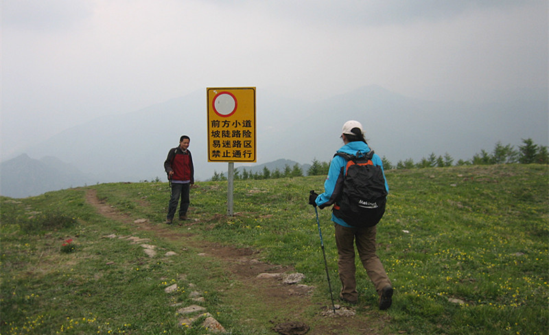 img_8811_1.jpg