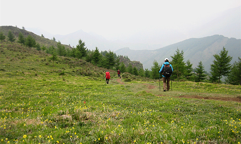 img_8839_1.jpg