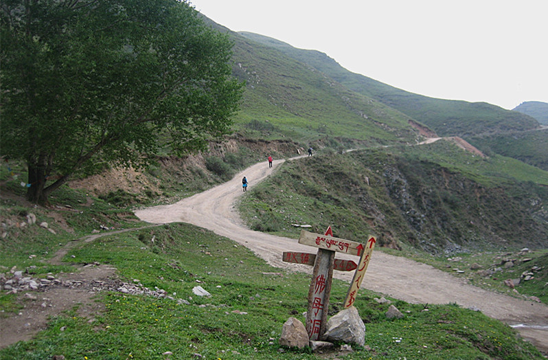 img_8871_1.jpg