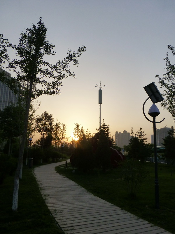 p1220075.jpg