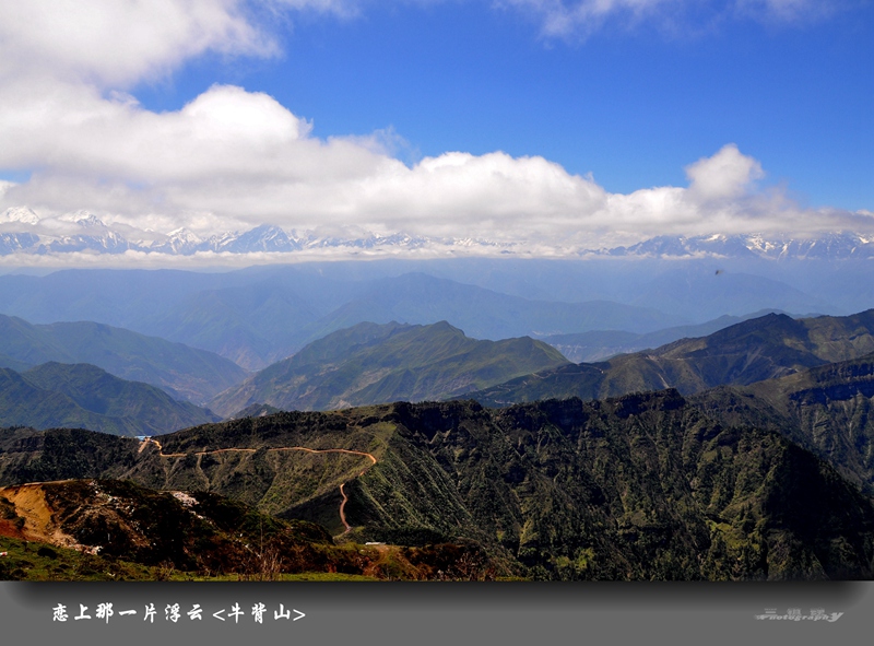 dsc_2155.jpg