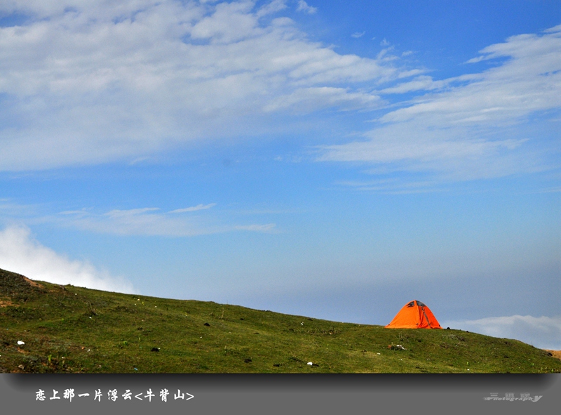dsc_2210.jpg