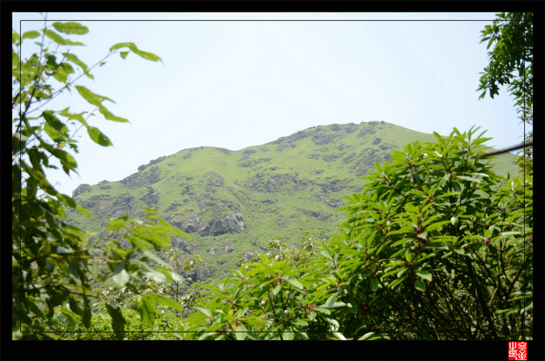 dsc_2875.jpg