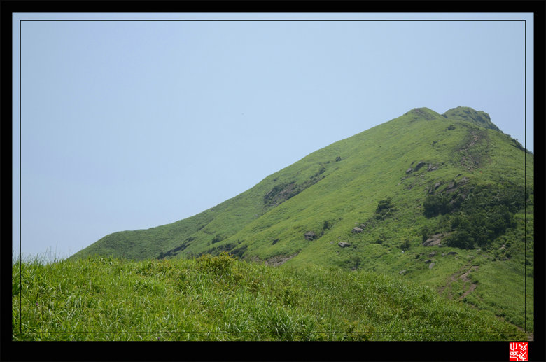 dsc_2890.jpg