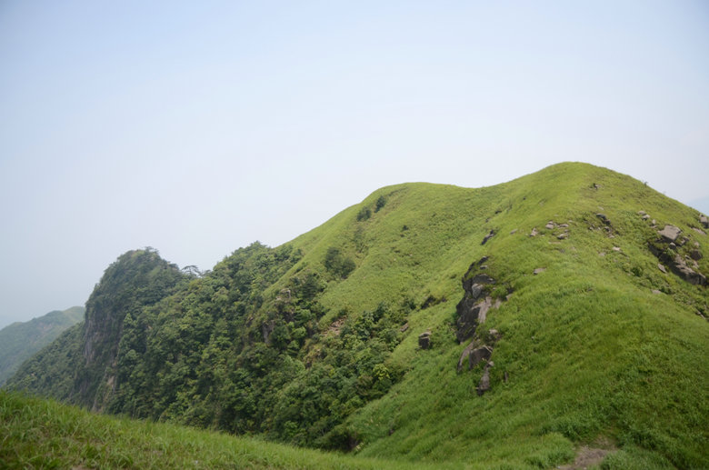 dsc_2960.jpg