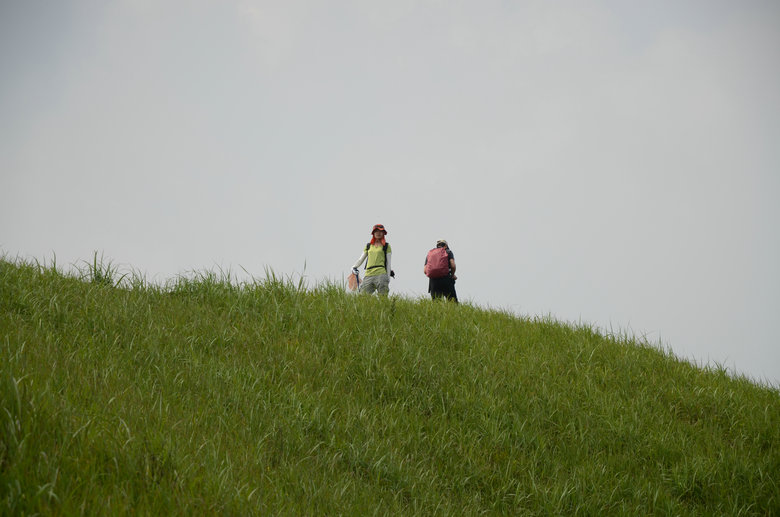 dsc_2997.jpg