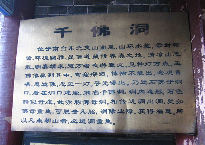 img_8895_1.jpg