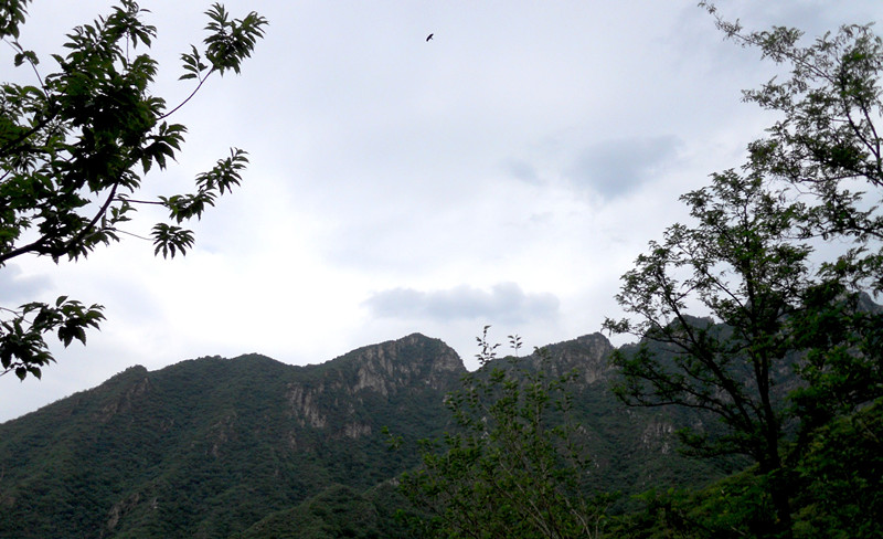 dscn1033_3.jpg