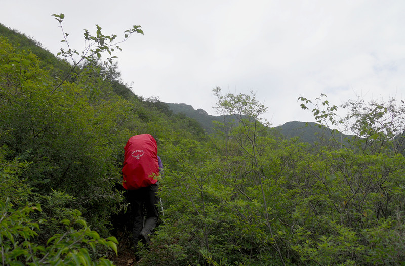 dscn1034_3.jpg
