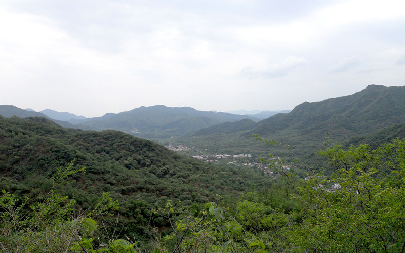 dscn1038_3.jpg