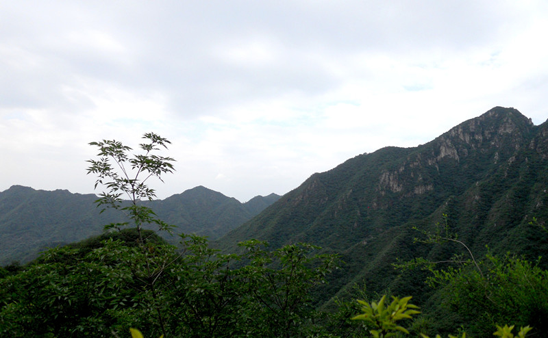 dscn1052_3.jpg