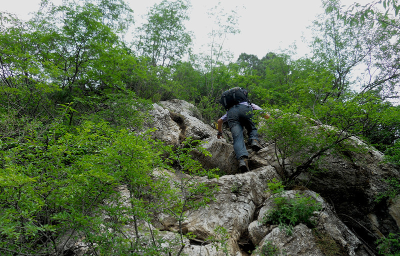 dscn1058_3.jpg