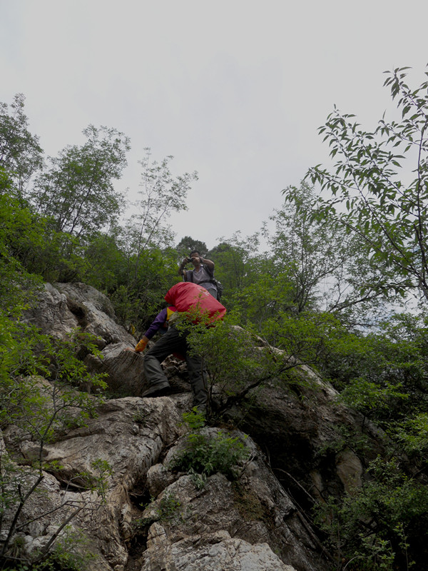dscn1061_3.jpg
