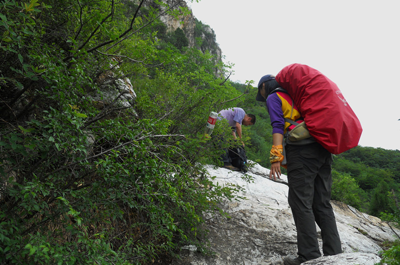 dscn1070_3.jpg
