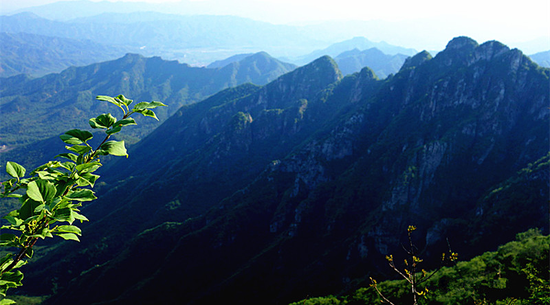 dsc05749_3.jpg