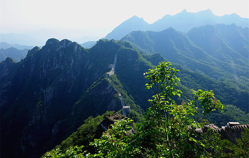 dsc05754_3.jpg