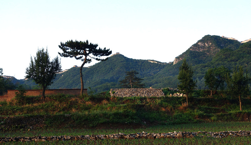 dsc05799_3.jpg