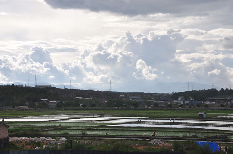 dsc_1259.jpg