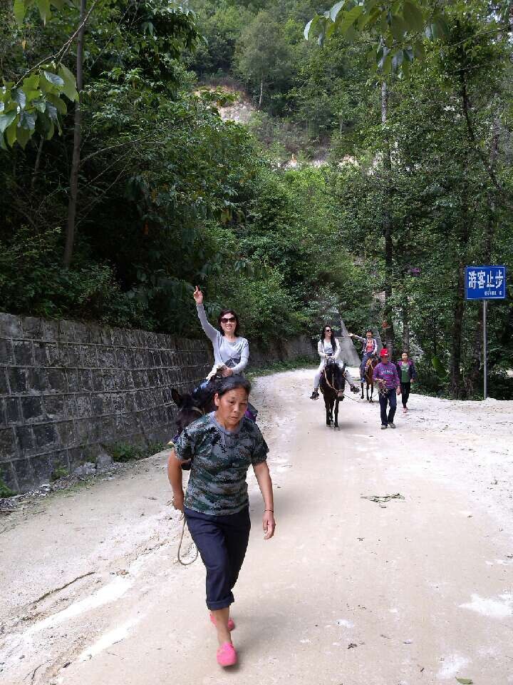 qqͼƬ20140629121130.jpg