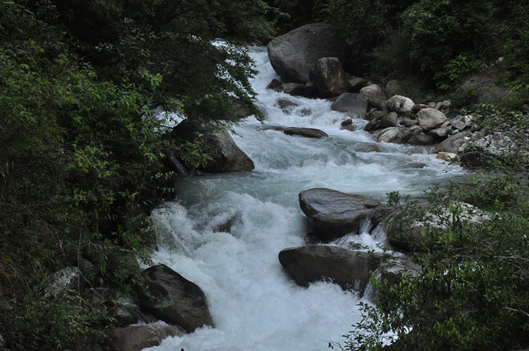dsc_0091.jpg